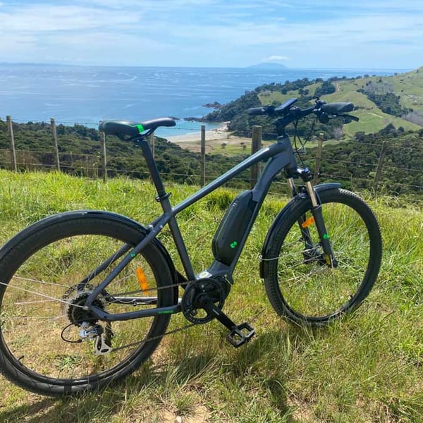 merida-eGreen