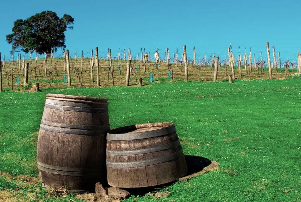 a-glass-of-waiheke-in-every-sip