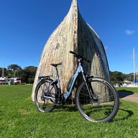 Causeway Waiheke Island