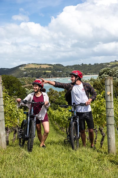 In the Vines Waiheke