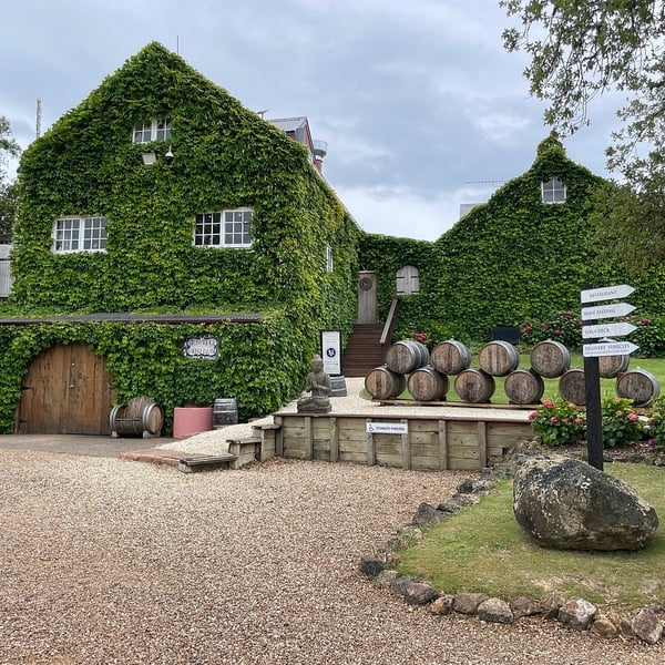 Stoneyridge Vineyard, Waiheke