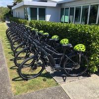 Pick up Waiheke