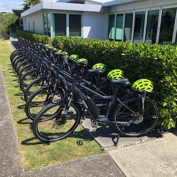 fleet2 Pick up Waiheke