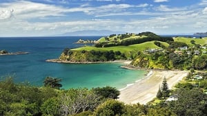 Palm Beach Waiheke