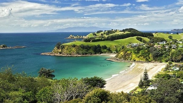 Palm Beach Waiheke