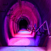 Tunnels at stony batter waiheke