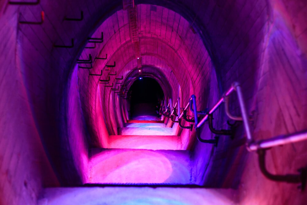 Tunnels at stony batter waiheke