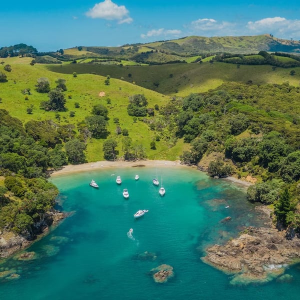 Garden Cove Waiheke
