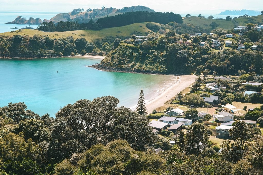 Palm Beach Waiheke Island