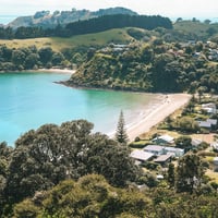 Palm Beach Waiheke Island