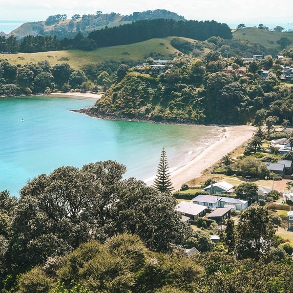 Palm Beach Waiheke Island