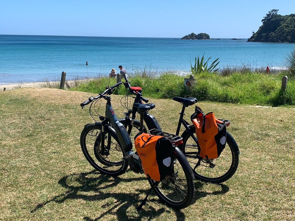 Palm Beach Waiheke by eRide