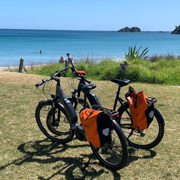 Palm Beach eRide Waiheke