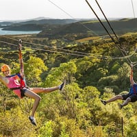ecozip ride and glide
