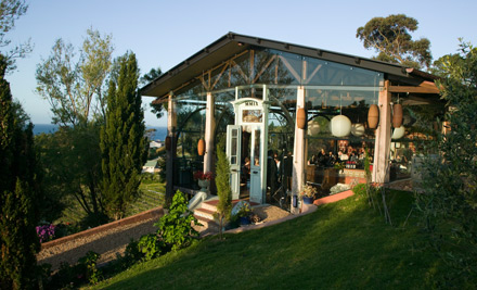 Casita Miro Waiheke wine and vineyard