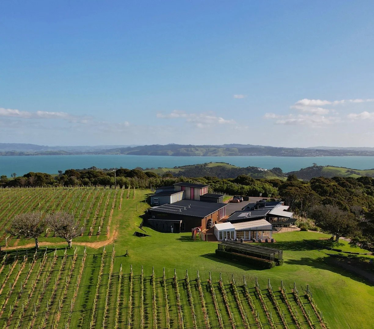 batch vineyard waiheke