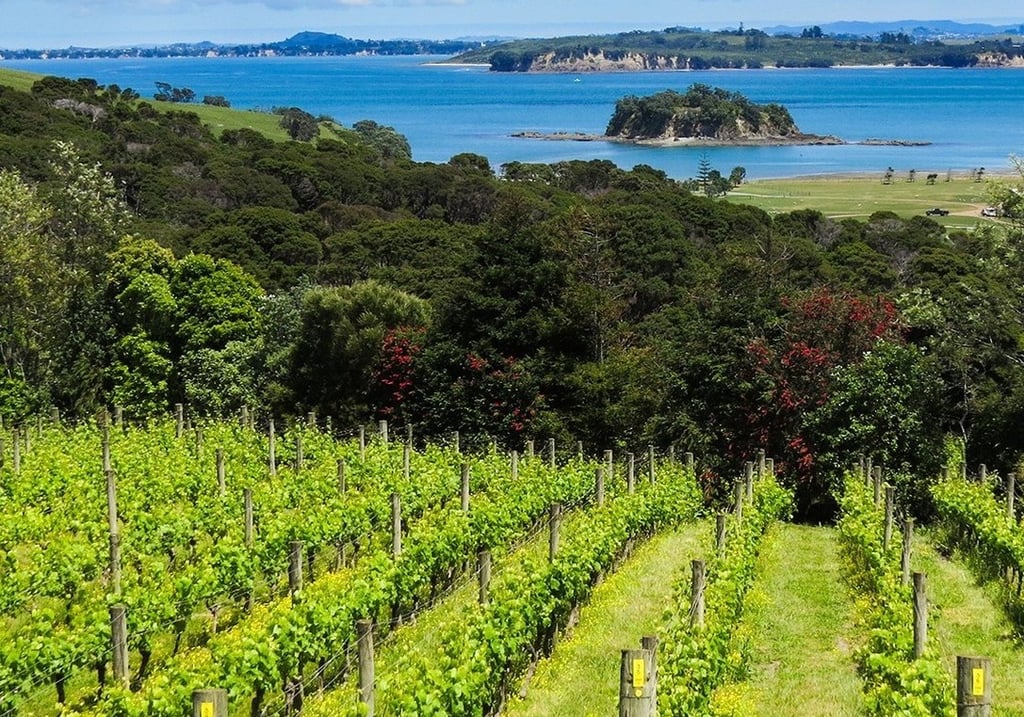 Cable bay view Waiheke