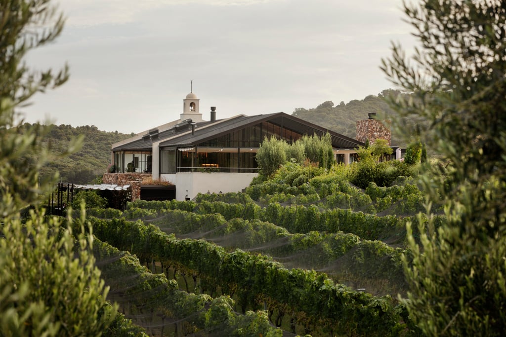 Wineries of Waiheke by bike