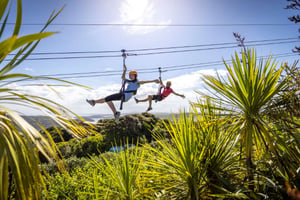 ecozip and eride