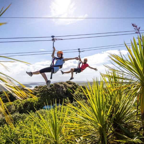 ecozip and eride