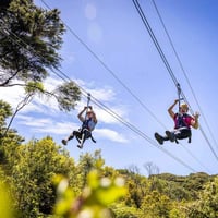 ecozip and eride