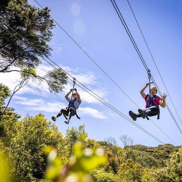 ecozip and eride