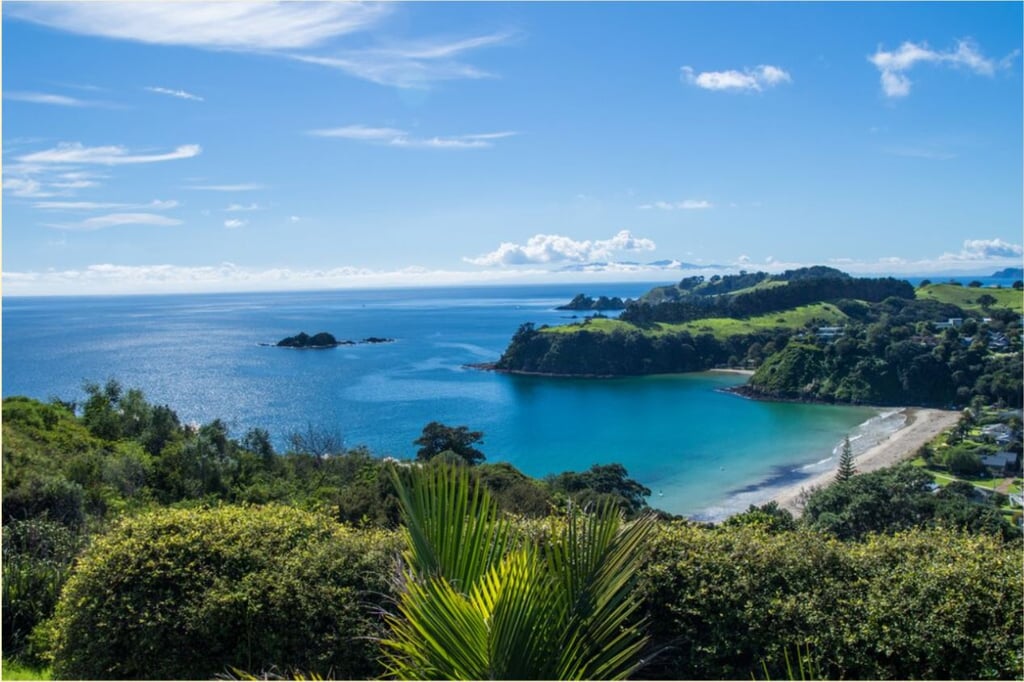 eride Waiheke Palm beach