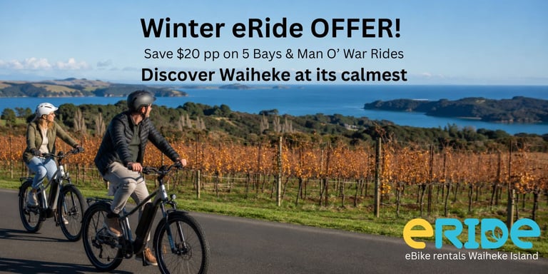 two people ebike riding on Waiheke with a vineyard and sea views