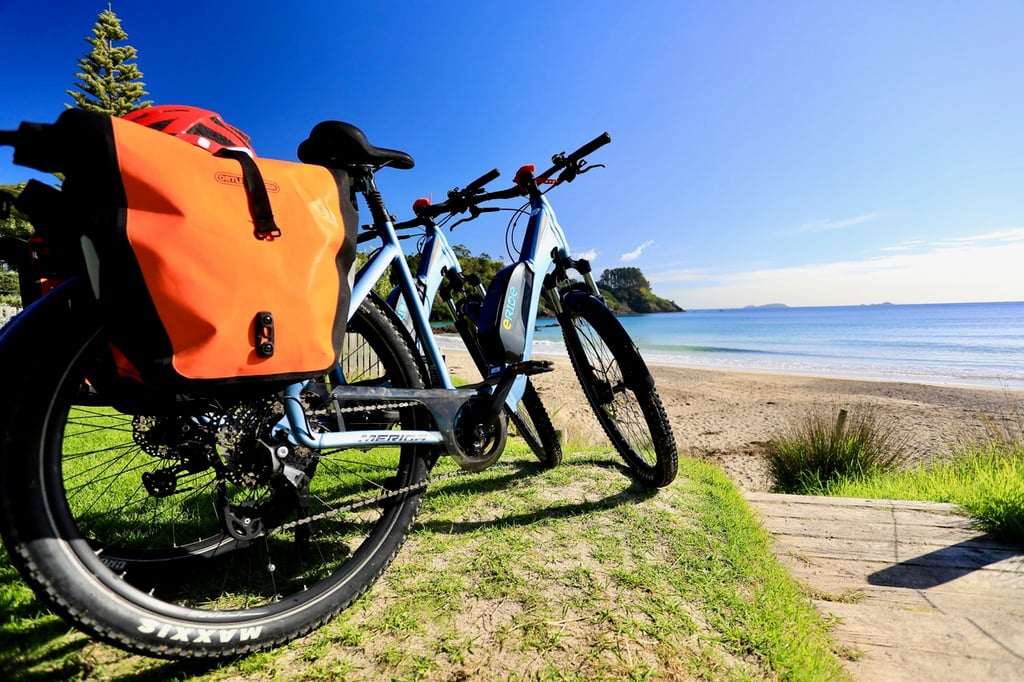 eRide Waiheke Palm Beach
