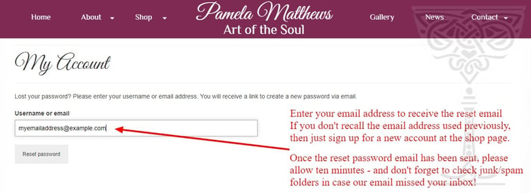 password-reset2
