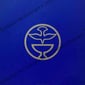 Aura-Soma New Aeon Tarot Deck – NEW logo Back Cards