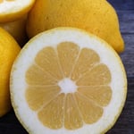 Lemons