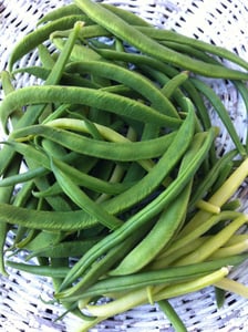 green beans