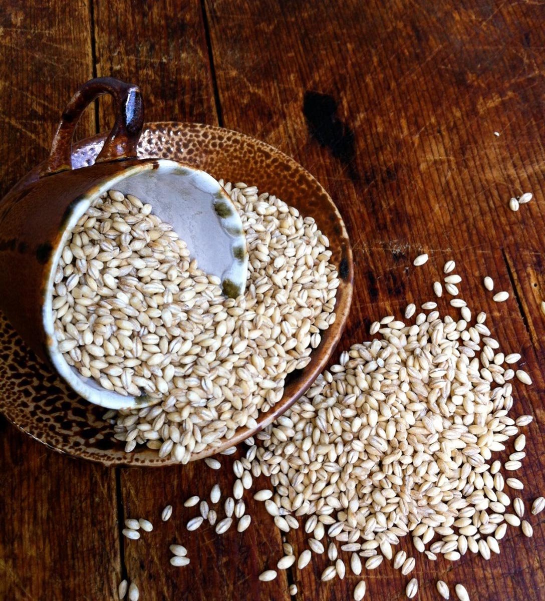 Barley