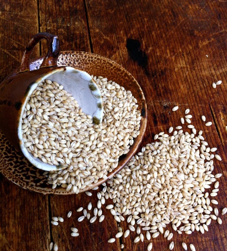 Barley