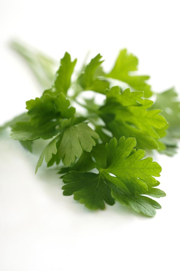Italian parsley