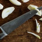 Green sprout in garlic