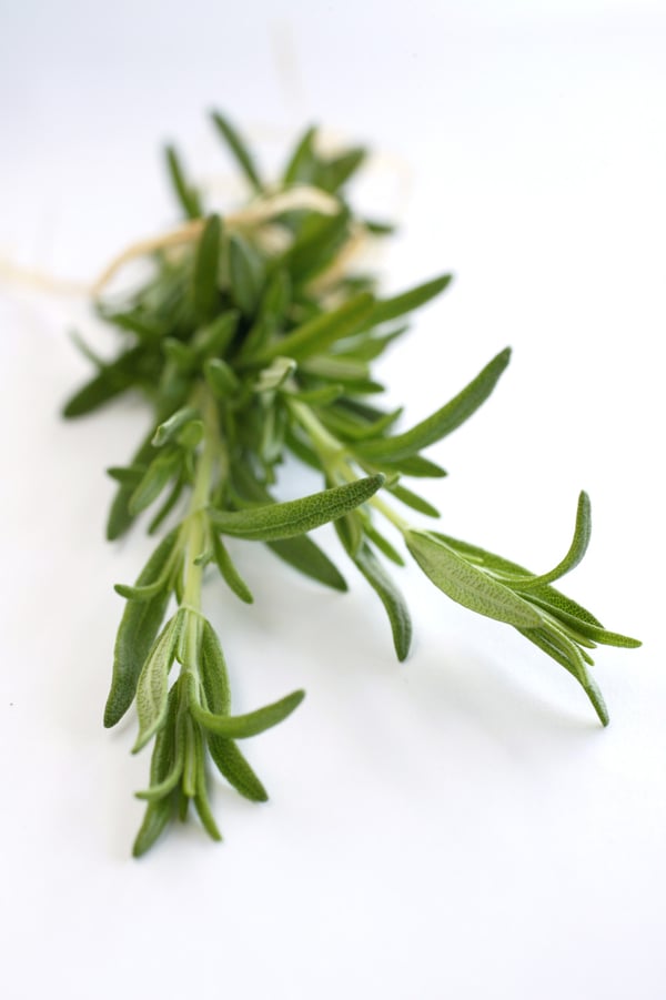Rosemary