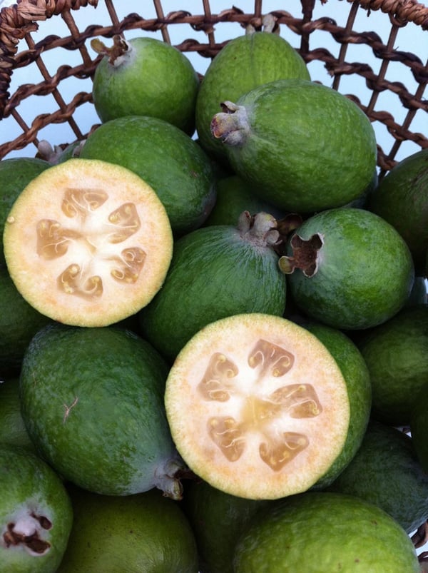 Cut feijoas