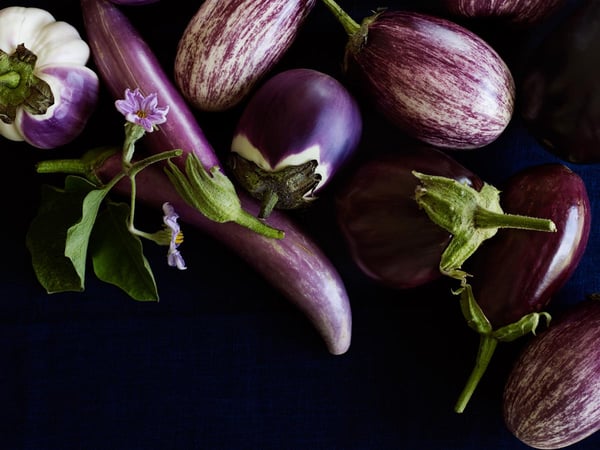 Eggplants