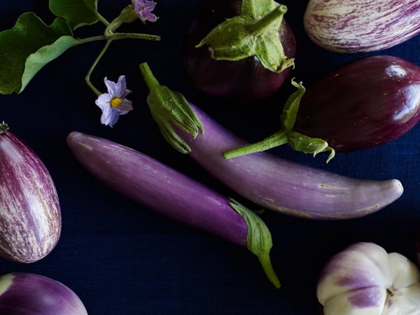 More eggplants