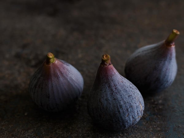 Pastilliere fig