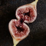 Pastilliere fig