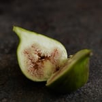 Brown turkey fig