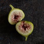 Robyn fig