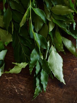 Curry leaves
