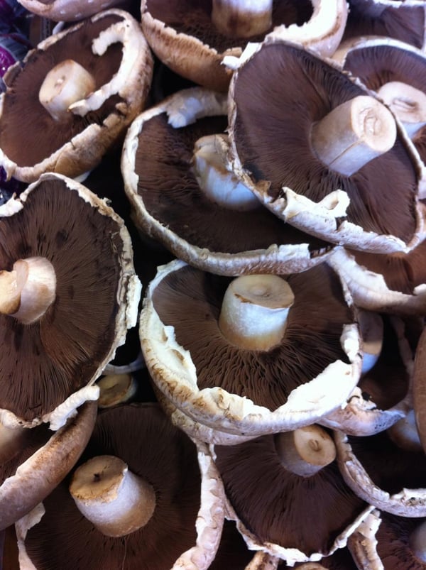 Mushrooms