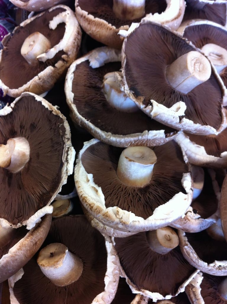 Mushrooms