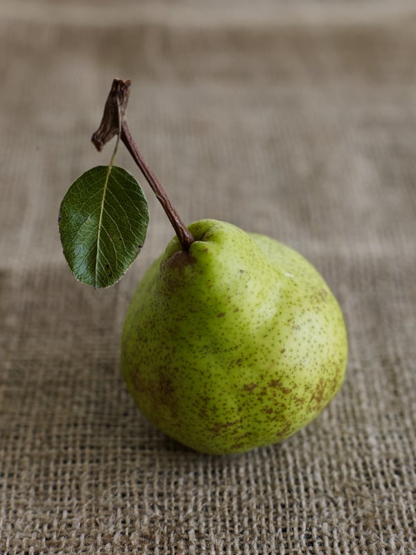 Pear with leaf