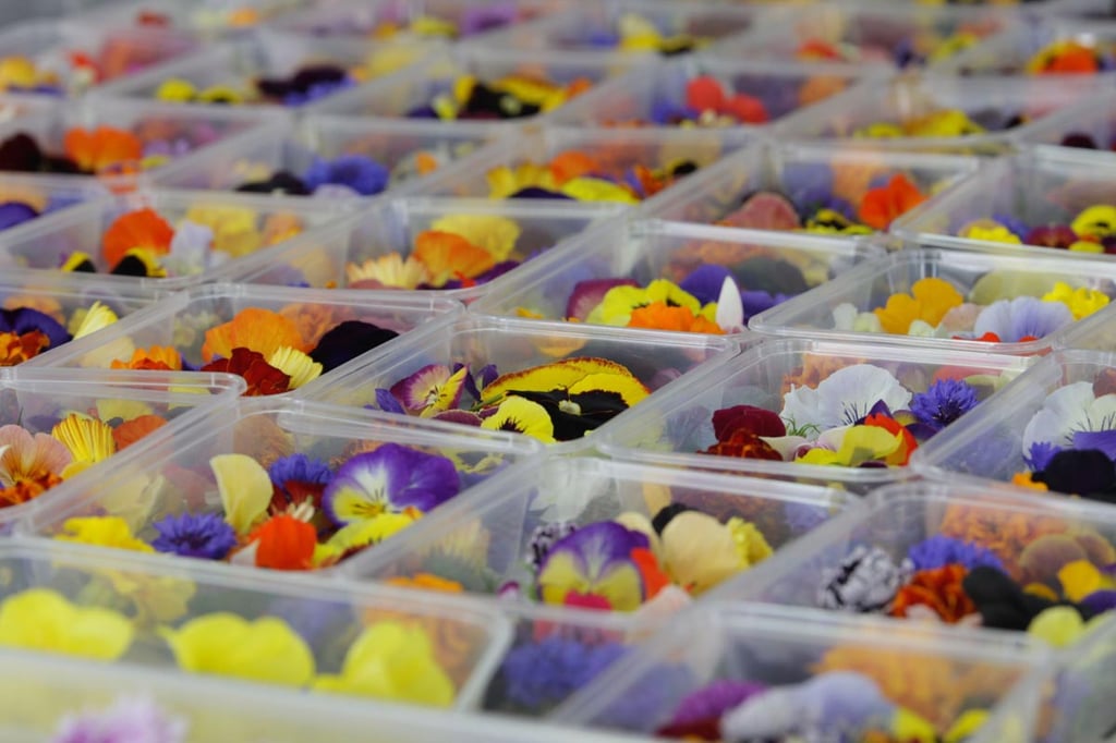 edible flowers